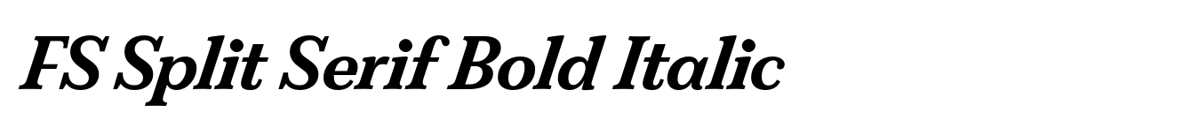 FS Split Serif Bold Italic